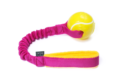 Norma Tenis (fuksja) - Planet Dog