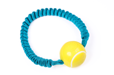 Ringo Tenis (turkus) - piłka Planet Dog Tennis Ball z okrągłą amortyzującą rączką 