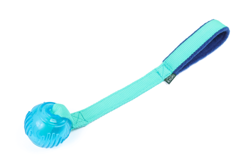 orka_handy.png