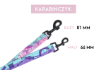 karabinczyki.png